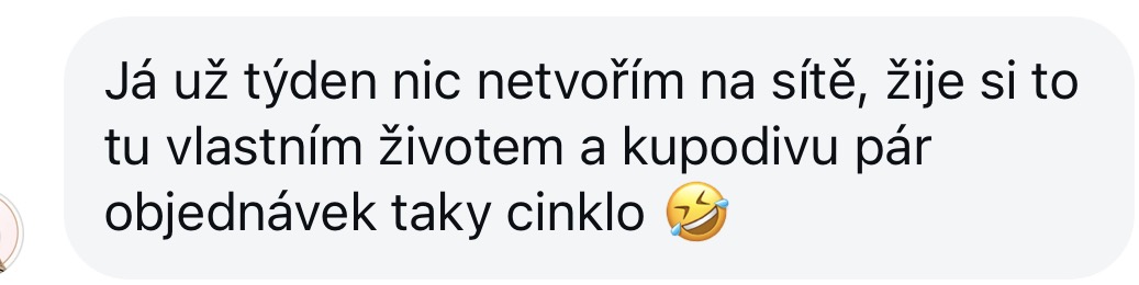 Zpětná vazba od klientky 73